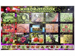 Комплект оборудования "Живой уголок" (растения) с тифлопереводом и сурдокомментариями - fgospostavki.ru - Ялуторовск