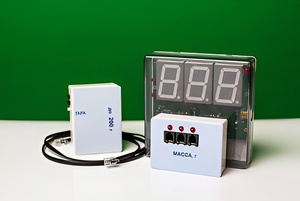 Датчик массы 200 г с независимой индикацией (весы с USB-переходником) - fgospostavki.ru - Ялуторовск