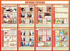Стенд "Личная гигиена" - fgospostavki.ru - Ялуторовск