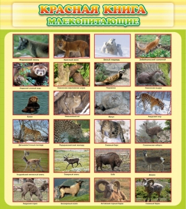 Стенд "Красная книга - млекопитающие" - fgospostavki.ru - Ялуторовск