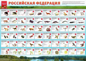 Стенд "Красная книга РФ" - fgospostavki.ru - Ялуторовск