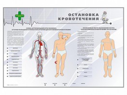 Электрифицированный стенд "Остановка кровотечения" - fgospostavki.ru - Ялуторовск