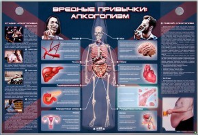 Электрифицированный стенд "Вредные привычки: алкоголизм" - fgospostavki.ru - Ялуторовск