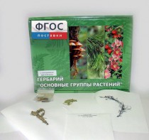 Гербарий "Основные группы растений" (52 листа) - fgospostavki.ru - Ялуторовск