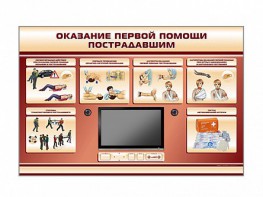 Многофункциональный интерактивный стенд-тренажер "Оказание первой помощи пострадавшим" для учащихся общеобразовательных учреждений - fgospostavki.ru - Ялуторовск