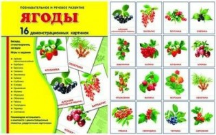 Демонстрационные карточки "Ягоды" - fgospostavki.ru - Ялуторовск