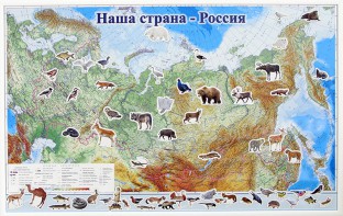 Магнитные карточки "Животные" - fgospostavki.ru - Ялуторовск