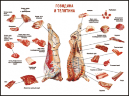 Таблица "Правила разделки мясных туш. Говядина и телятина" (100х140 сантиметров, винил) - fgospostavki.ru - Ялуторовск