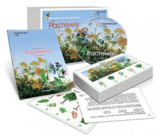 Комбинированное наглядное пособие «Растения» - fgospostavki.ru - Ялуторовск
