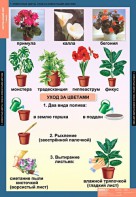 Комплект таблиц. Окружающий мир 1 класс. - fgospostavki.ru - Ялуторовск