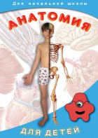 DVD "Анатомия для детей" - fgospostavki.ru - Ялуторовск