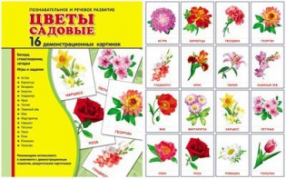 Демонстрационные карточки "Цветы садовые" - fgospostavki.ru - Ялуторовск