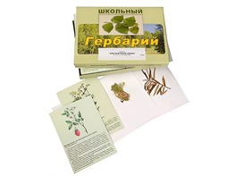 Гербарий "Для начальной школы" (30 видов, с иллюстрациями) - fgospostavki.ru - Ялуторовск