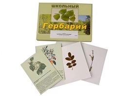 Гербарий "Деревья и кустарники" (22 вида, с иллюстрациями) - fgospostavki.ru - Ялуторовск