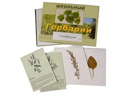 Гербарий "Лекарственные растения" (22 вида с иллюстрациями) - fgospostavki.ru - Ялуторовск