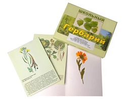 Гербарий "Систематика растений. Семейство Пасленовые. Крестоцветные. Сложноцветные" (раздаточный) - fgospostavki.ru - Ялуторовск