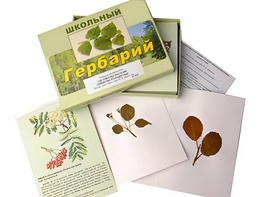 Гербарий "Систематика растений. Семейство Розоцветные" (раздаточный) - fgospostavki.ru - Ялуторовск