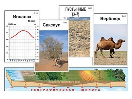 Модель-аппликация "Природные зоны" - fgospostavki.ru - Ялуторовск