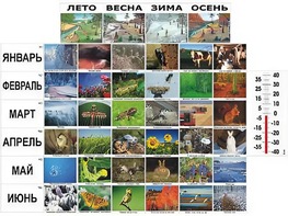 Фенологические наблюдения - fgospostavki.ru - Ялуторовск
