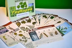 Гербарий к курсу основ общей биологии - fgospostavki.ru - Ялуторовск