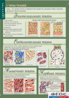 Комплект таблиц. Биология 8-9 класс. Человек. - fgospostavki.ru - Ялуторовск