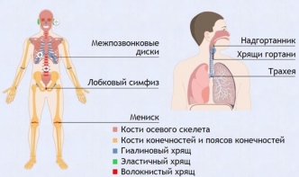 Интерактивные курсы. Биология 9 класс. Базовый. - fgospostavki.ru - Ялуторовск