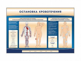 Электрифицированный стенд-тренажер "Остановка кровотечения" - fgospostavki.ru - Ялуторовск
