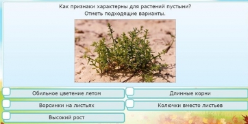 Интерактивные курсы. Окружающий мир 3 класс . Базовый. - fgospostavki.ru - Ялуторовск