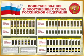 Стенд "Воинские звания в вооруженных силах РФ" - fgospostavki.ru - Ялуторовск
