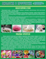 Стенд "Биология в профессии "повар"" - fgospostavki.ru - Ялуторовск