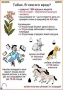 Комплект кодотранспарантов "Ядовитые растения" - fgospostavki.ru - Ялуторовск